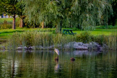 2016-09-28T17:50:18.540Z