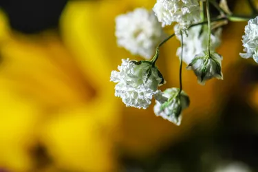 2015-04-25T12:16:11.620Z