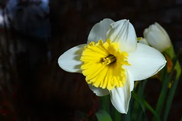 2015-05-03T12:39:35.440Z