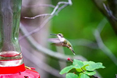 2015-06-27T17:09:25.090Z