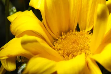 2015-04-25T12:24:39.480Z