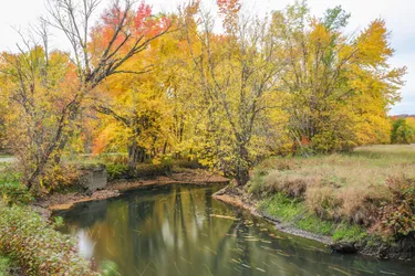 2016-10-08T11:47:11.470Z